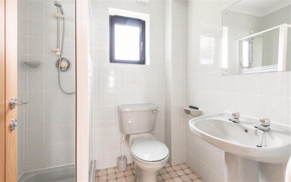 The downstairs shower room is a must for a family of five at 33 Lower Stables in Maenporth