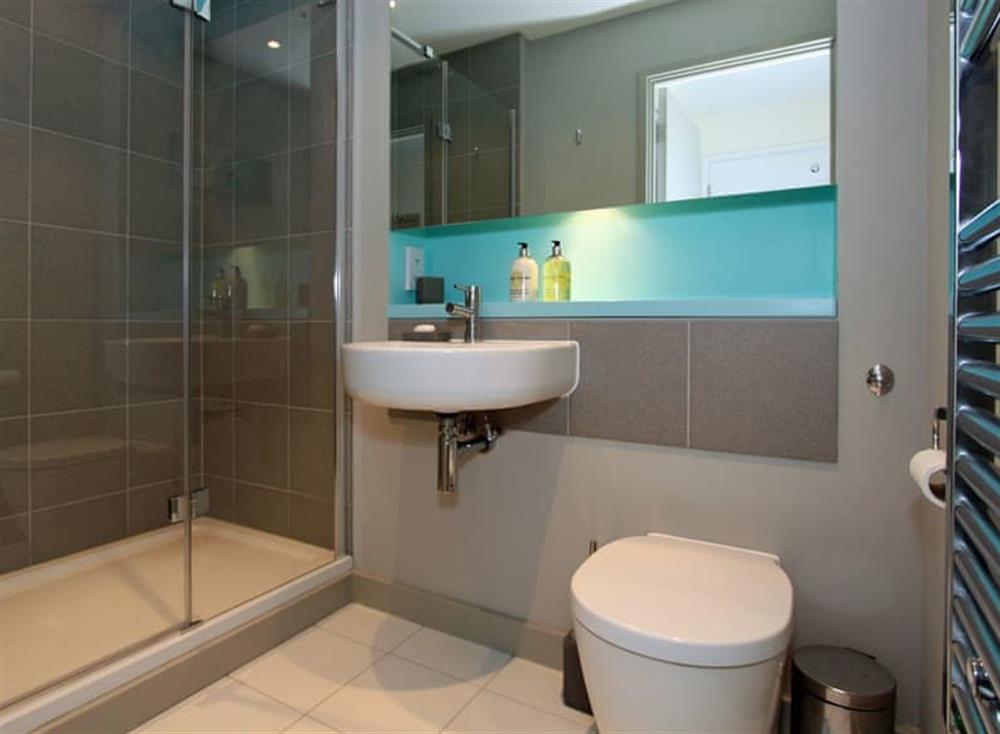 Shower room at 33 Tre Lowen in , Newquay