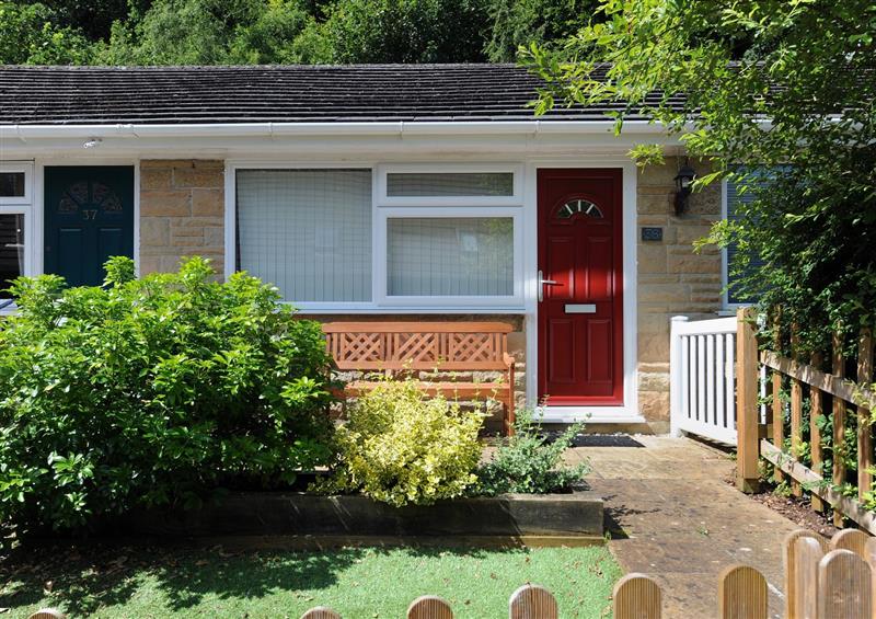 Enjoy the garden at 36 Fernhill Heights, Charmouth