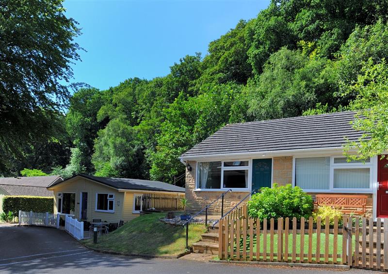The setting at 36 Fernhill Heights, Charmouth