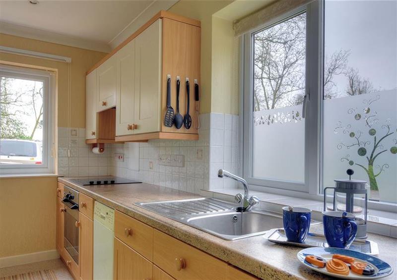 The kitchen at 39 Fernhill Heights, Charmouth