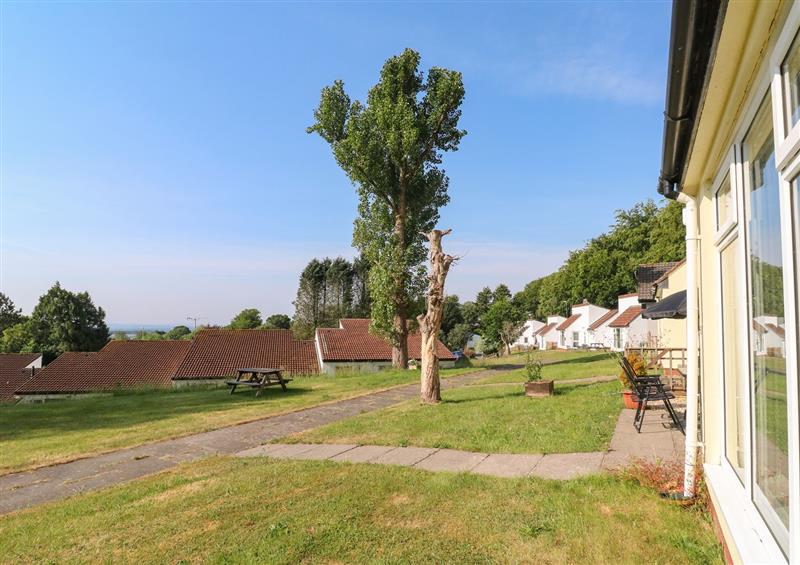The garden at 39 Manorcombe Bungalows, Honicombe Holiday Village near Drakewalls
