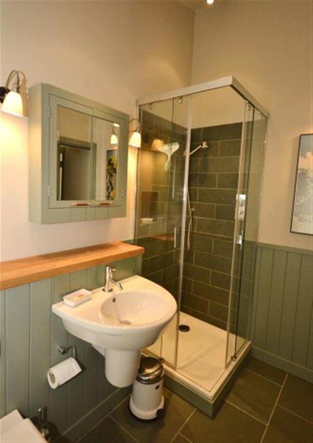 The master bedroom en-suite showing the shower cubicle at 39 Talland in Talland Bay