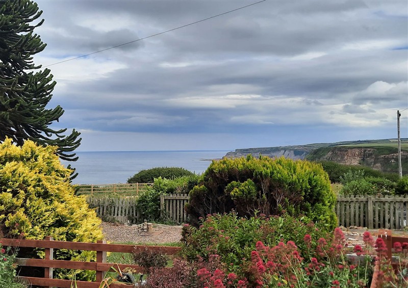 This is the garden at 4 Cliff Cottages, Port Mulgrave near Staithes