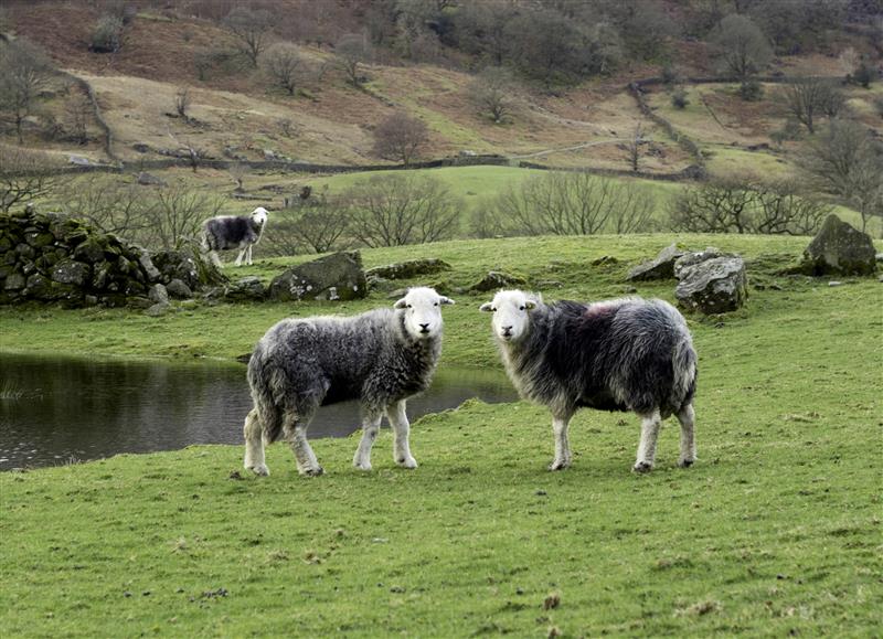 Rural landscape at 4 Fir Garth, Chapel Stile