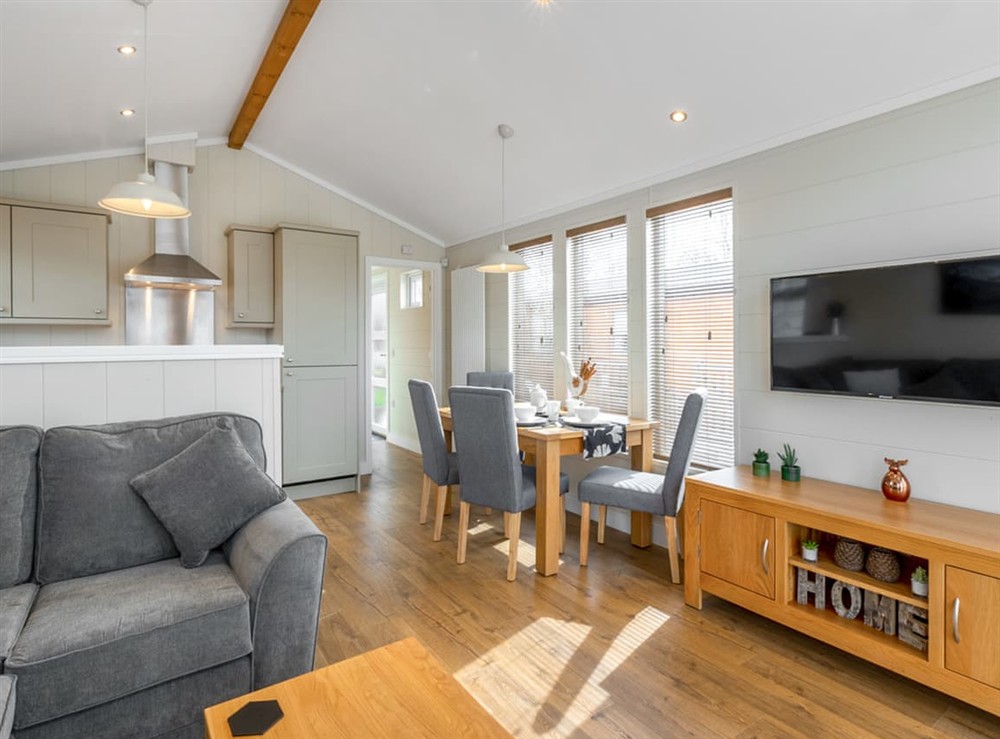 Open plan living space at 4 Lakeside Lodge in Windermere and Troutbeck Bridge, Cumbria
