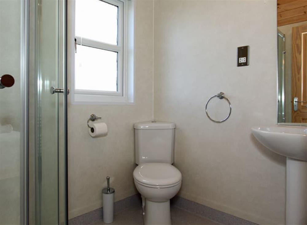 Shower room at 4 The Towans in , Padstow & Wadebridge