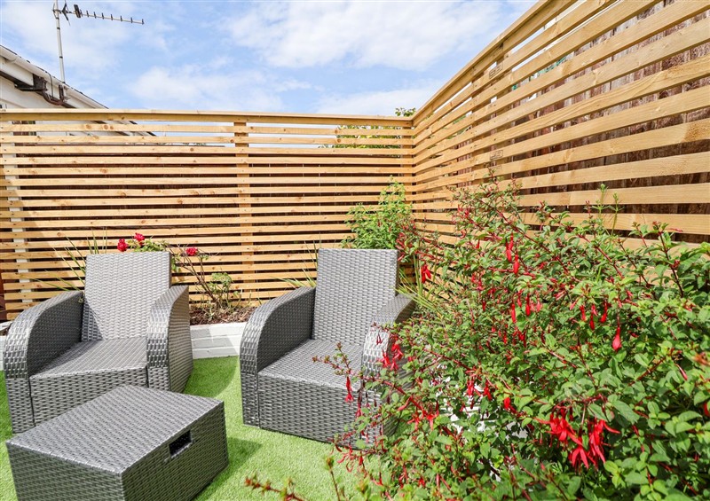 The garden at 4 Willow Grove - Freehold, Talacre