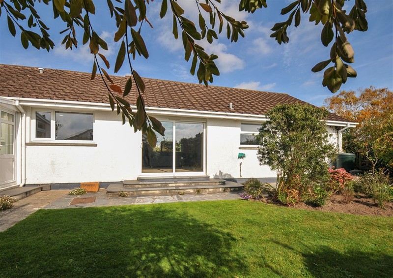 The garden at 42 Little Trelyn, Rock