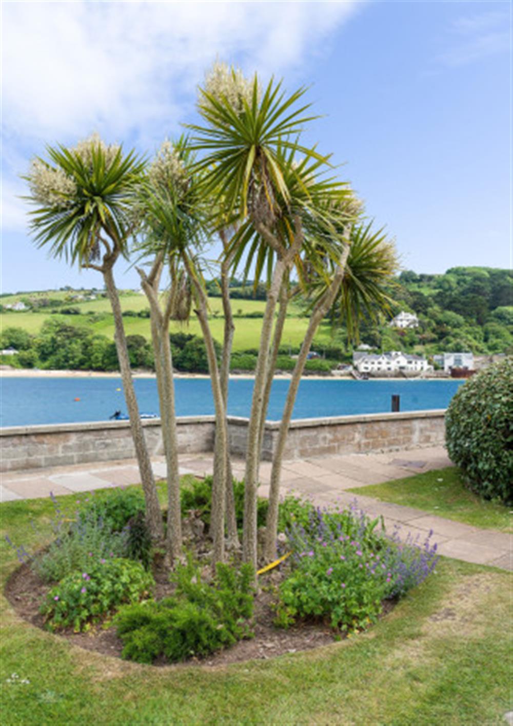 The view from the communal gardens at 43 The Salcombe in Salcombe