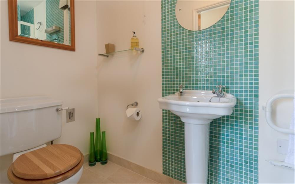 The downstairs shower room also has a W.C. and a hand basin. at 44 Upper Stables in Maenporth