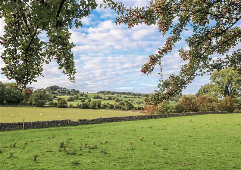 In the area at 5 Belper Lane End, Belper