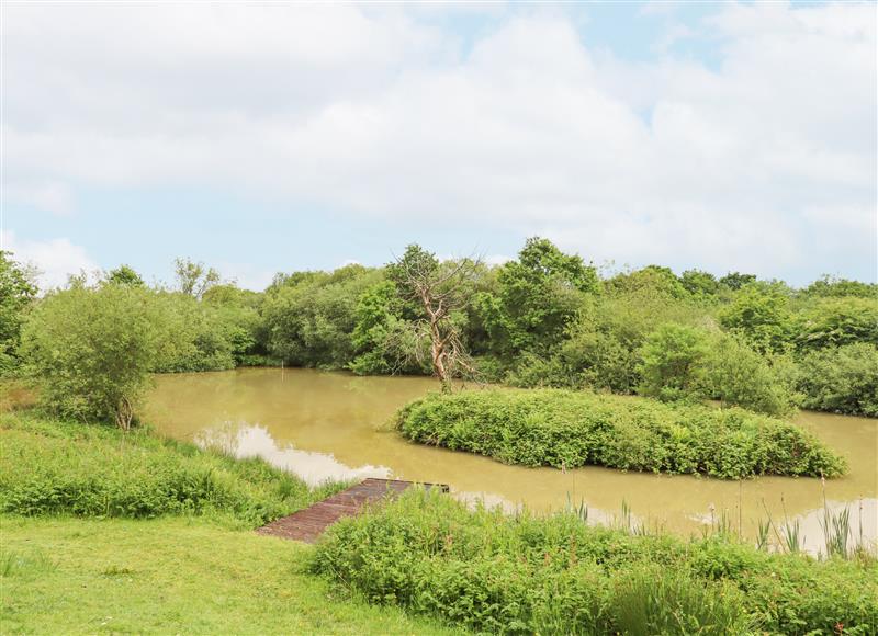 Rural landscape