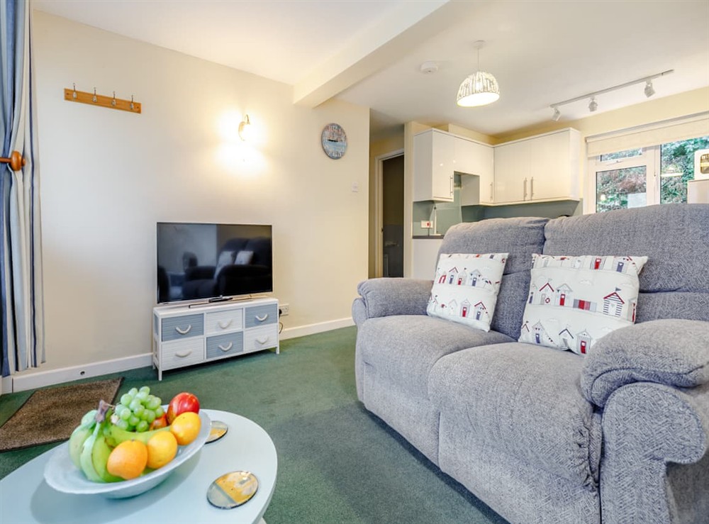 Living area at 5 Mount Brioni in Torpoint, Cornwall