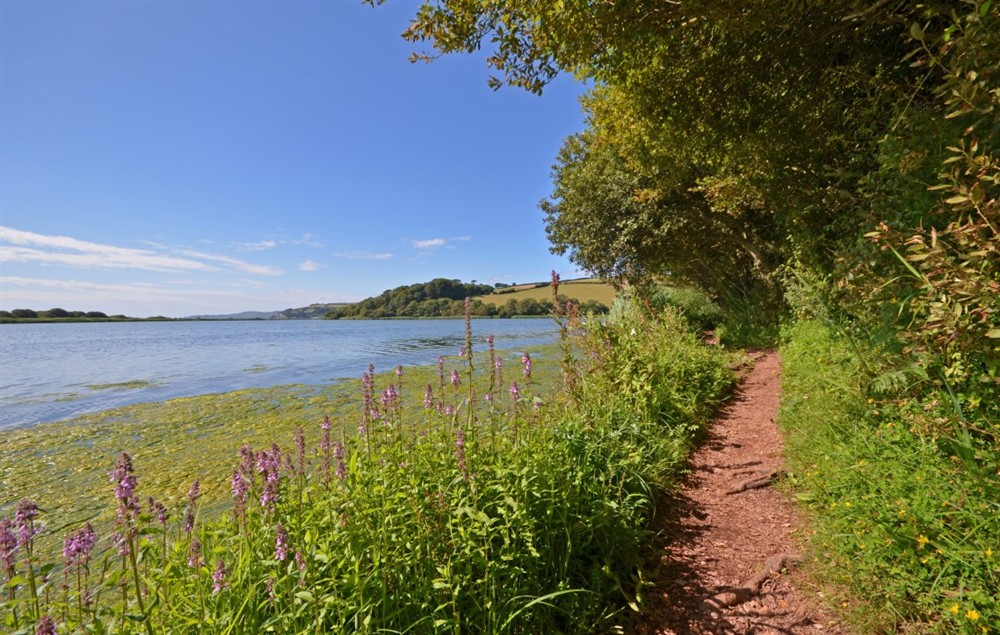 In the area at 5 Orchard Terrace in Slapton