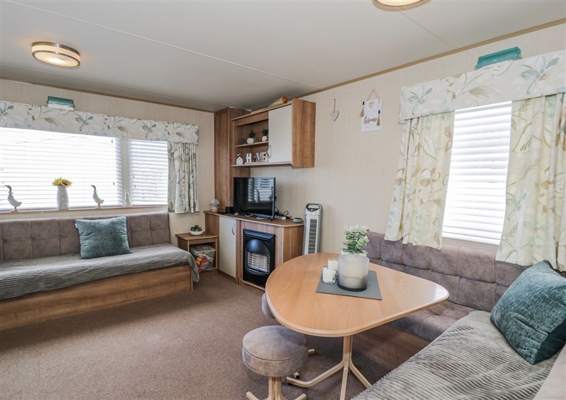 Relax in the living area at 51 Silverbirch Way, Rhyl