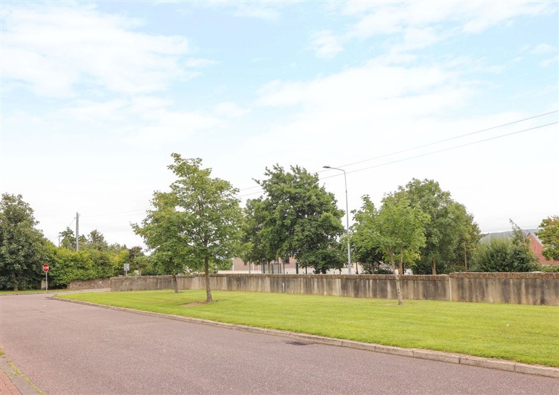The garden at 51 Woodview Park, Tralee