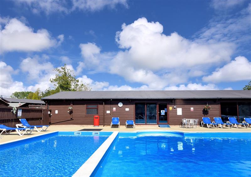 Spend some time in the pool at 6 Pinewood Retreat, Rousdon near Lyme Regis