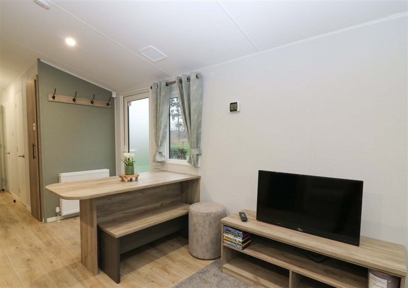 Relax in the living area at 63 St Andrews, Port Seton