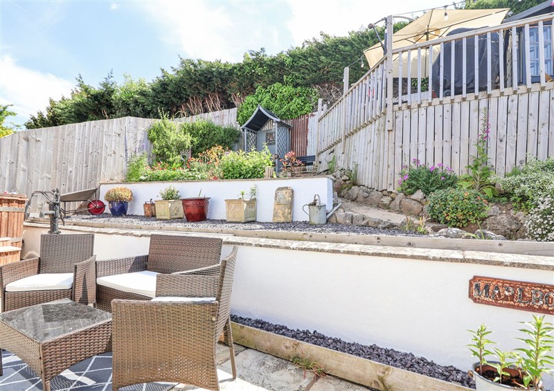 The garden at 67 Pendre Avenue, Prestatyn