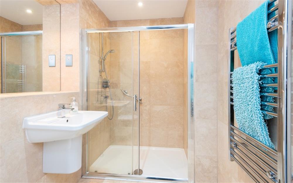 Downstairs family shower room  at 7 Dufour in East Allington