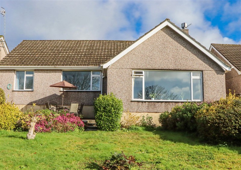 The garden at 7 Erme Drive, Ivybridge