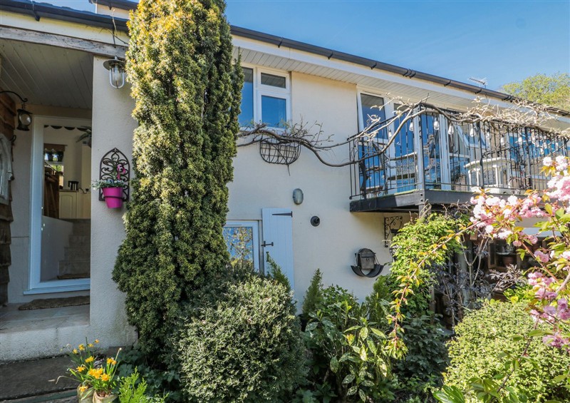 The garden at 7 The Cedars, Wotton-Under-Edge