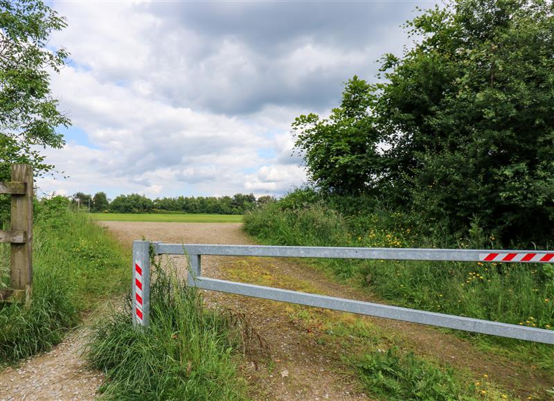 Rural landscape