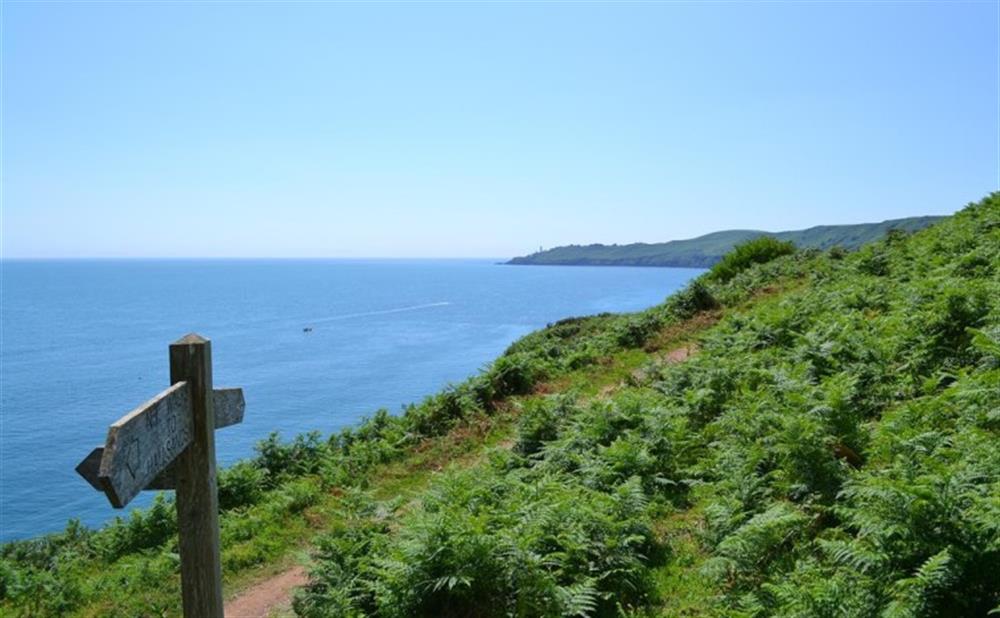 Direct access to the South West Coast Path from right outside 8 @ The Beach at 8 at The Beach in Torcross