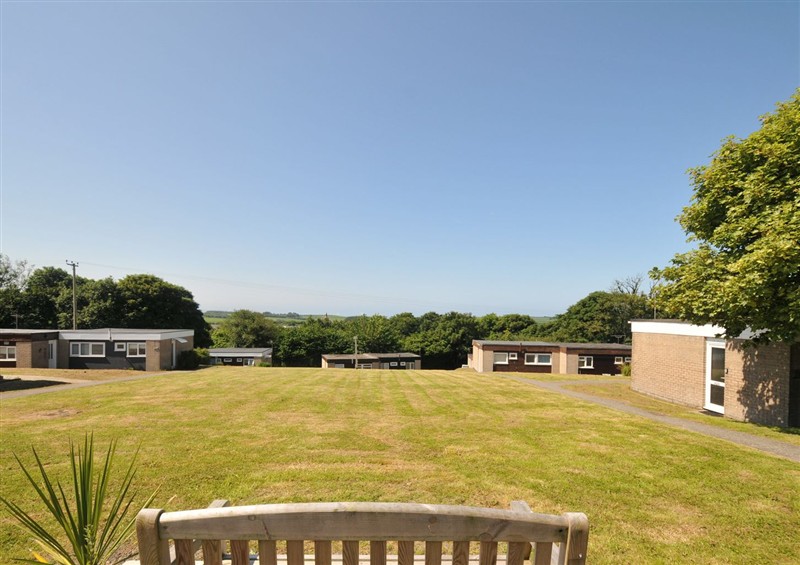 The garden in 8 Hillside at 8 Hillside, Kilkhampton
