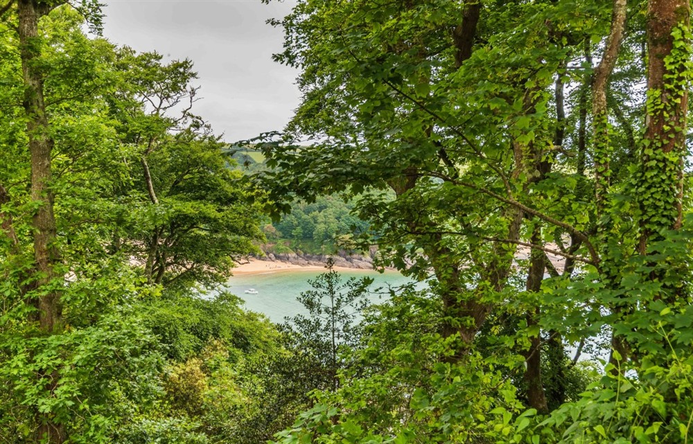 Photo of 8 Melbury (photo 5) at 8 Melbury in Salcombe
