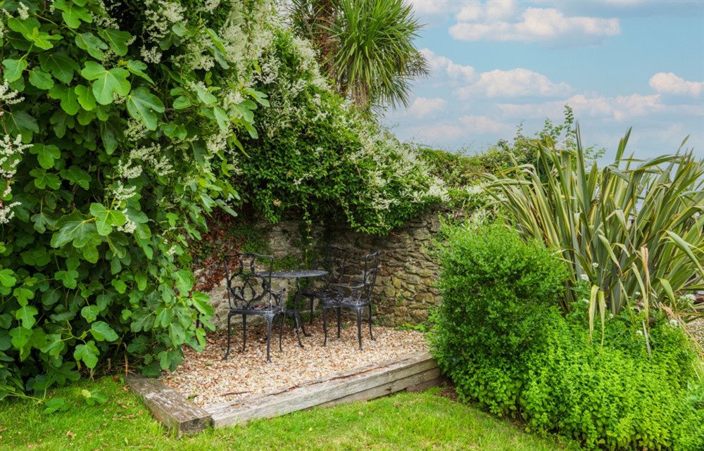This is the garden at 8 Melbury in Salcombe