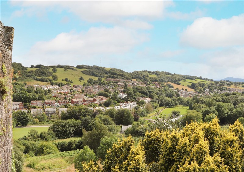 Enjoy the garden at 8 Watkin Street, Conwy