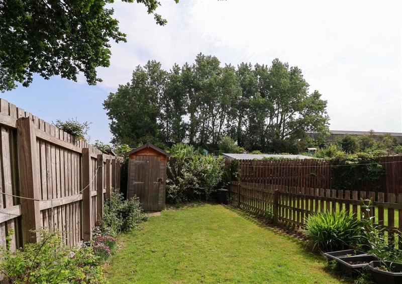 The garden at 8 Wharfedale Mews, Otley