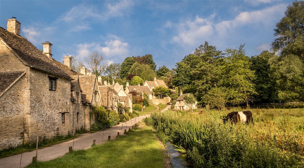 Arlington Row, with docile Belted Galloway cattle grazing on Rack Isle, Gloucestershire at 9 Arlington Row in Cirencester, Gloucestershire