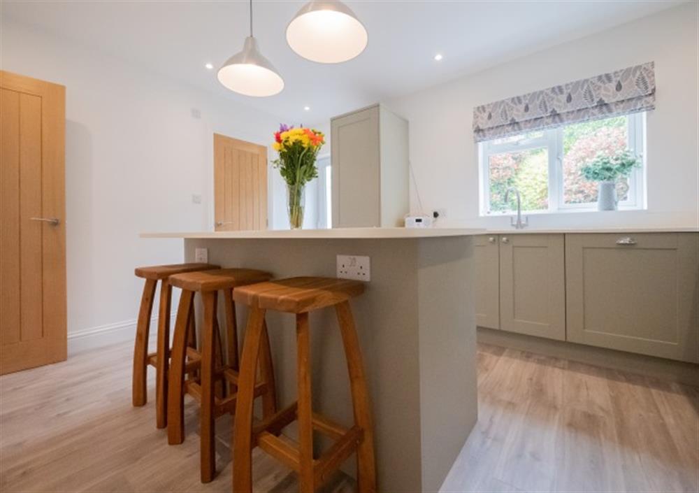 The modern and well equipped kitchen  at 9 Mount Pleasant in Kingsbridge