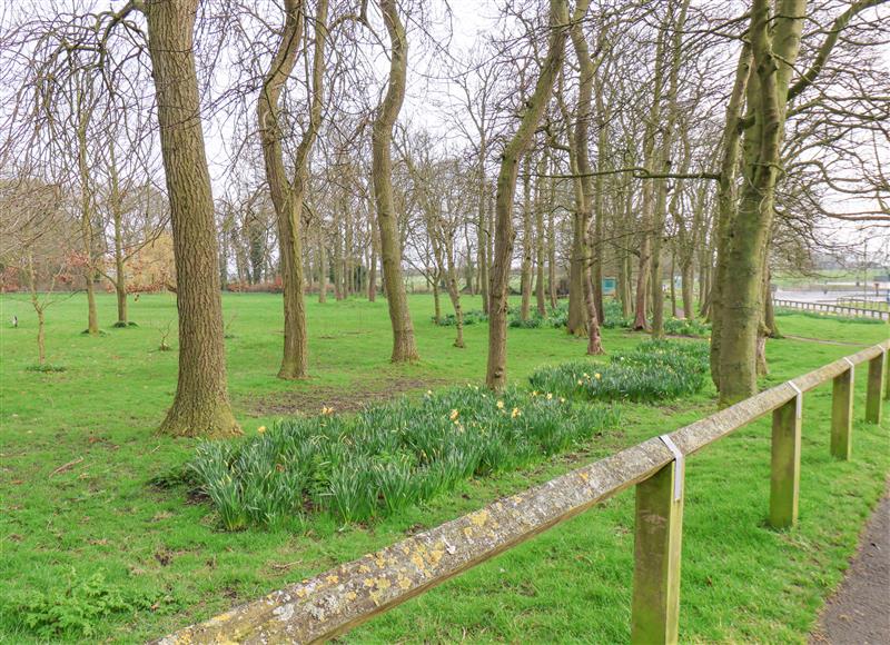 Rural landscape at 94A West Avenue, Filey