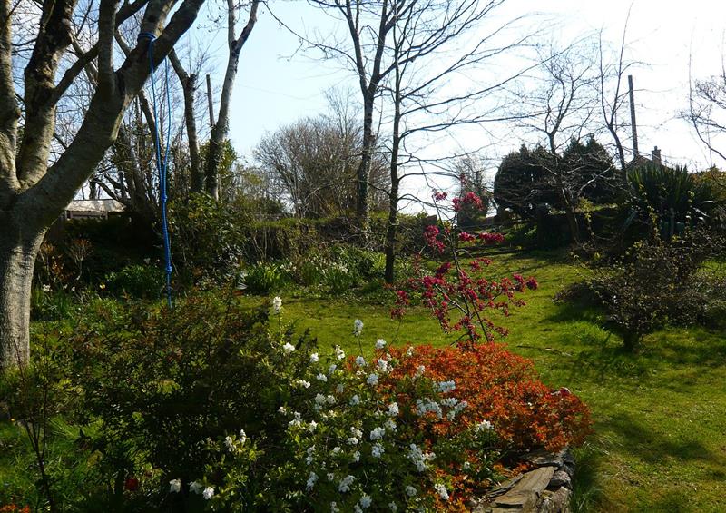 The setting at Aarons Cottage, St Teath