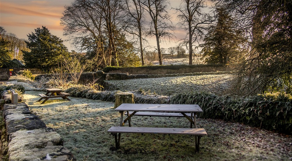 The shared garden for Abbey Cottage and Abbey Stores, Yorkshire at Abbey Cottage in Nr Ripon, North Yorkshire