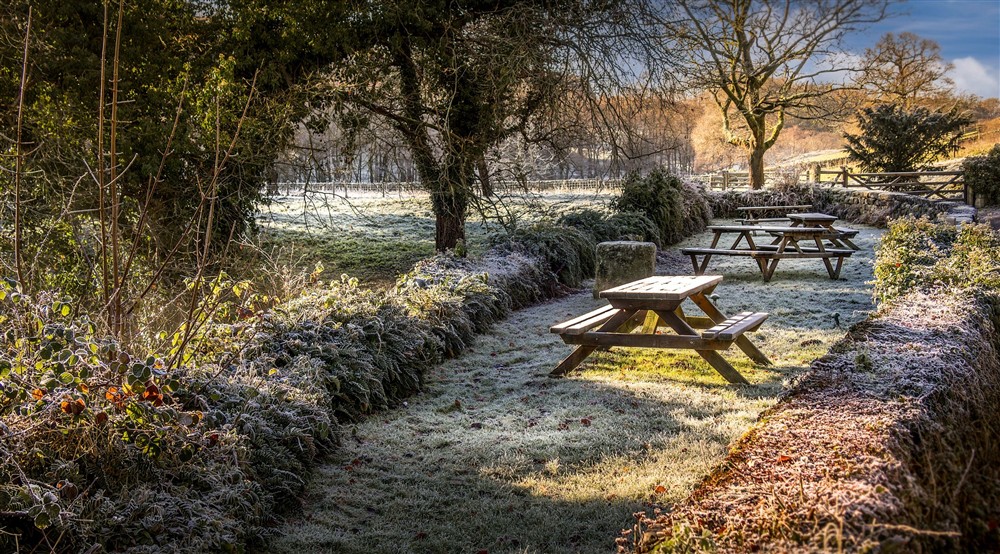 The shared picnic garden at Abbey Stores in Ripon, North Yorkshire