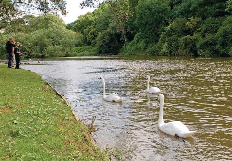 River Avon  at Abbots Salford Park in Abbot’s Salford, Nr Evesham