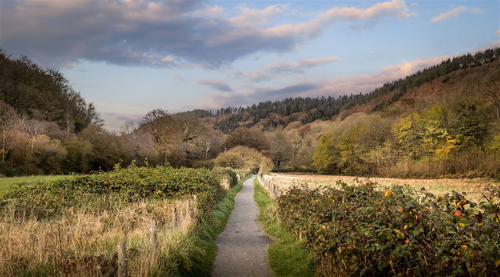 A path in the area surrounding Abermydyr, with wooded hills in the background, Ceredigion at Abermydyr in Aberaeron, Ceredigion