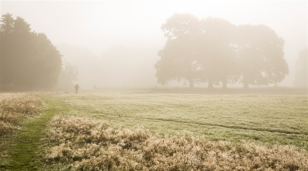 An autumn morning in the parkland at Abermydyr in Aberaeron, Ceredigion