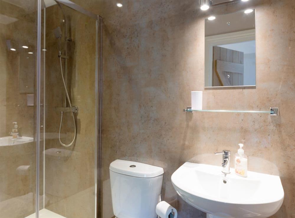 En-suite shower room at Abrahams Cottage in Langthwaite, near Leyburn, North Yorkshire