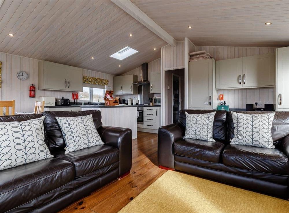 Open plan living space at Acer Lodge in Findern, Derbyshire