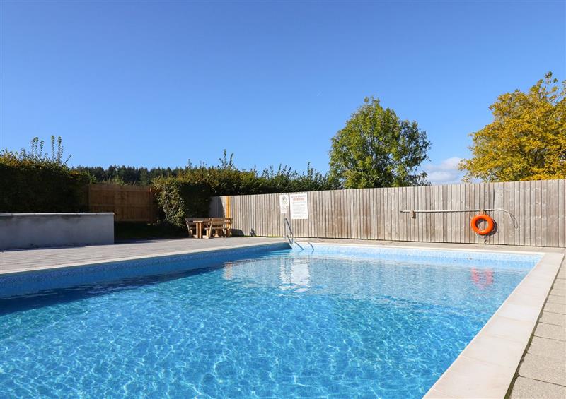 The swimming pool at Acorn Cottage, Teigngrace near Newton Abbot