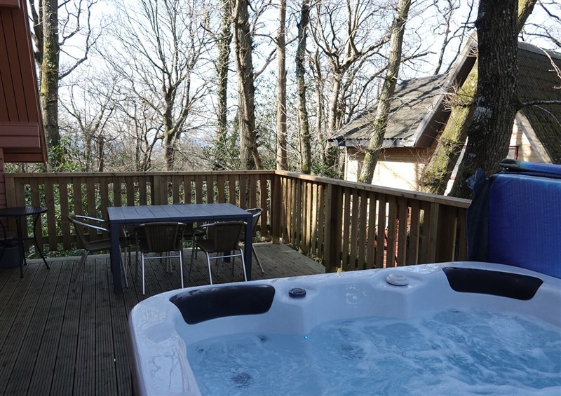 Outside at Acorn Lodge, Finlakes Holiday Park near Chudleigh