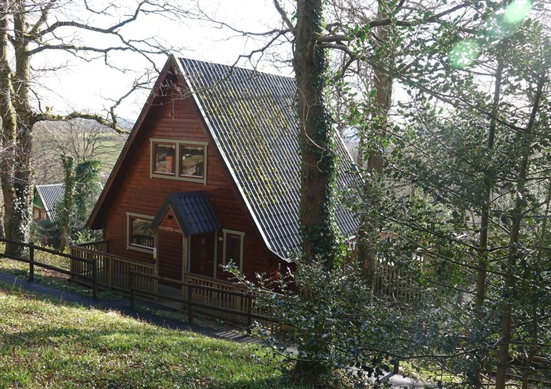 This is Acorn Lodge (photo 3) at Acorn Lodge, Finlakes Holiday Park near Chudleigh