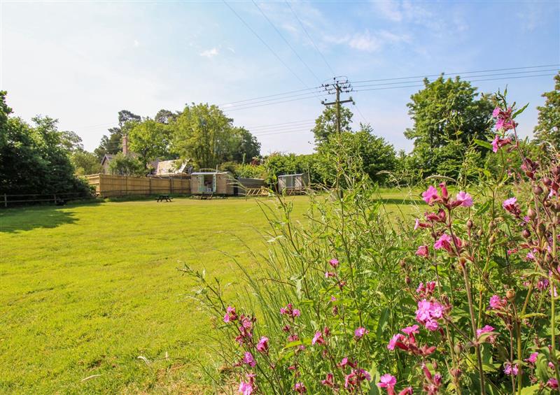 The area around Acres Meadow