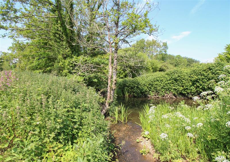 The area around Acres Meadow